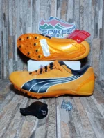 Puma Sprint